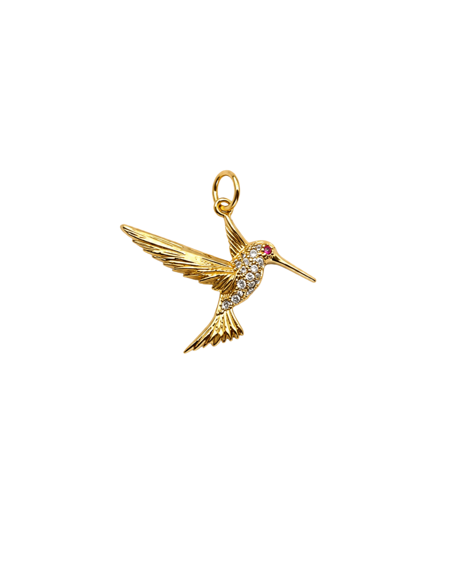 Colibrí